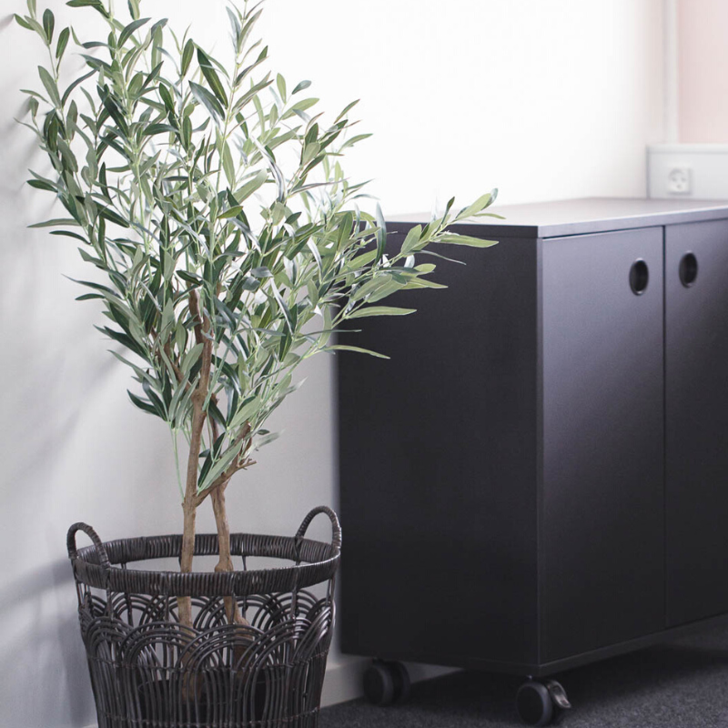 Arkivskab og grøn plante